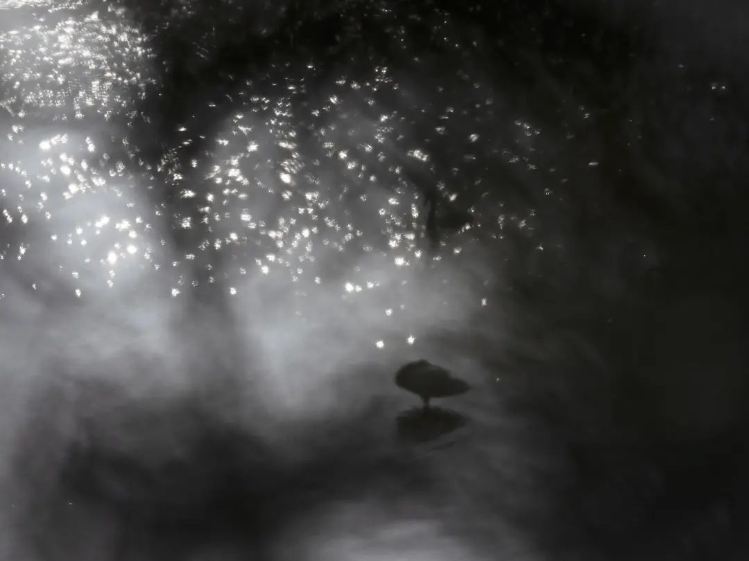 20230829_190544_005