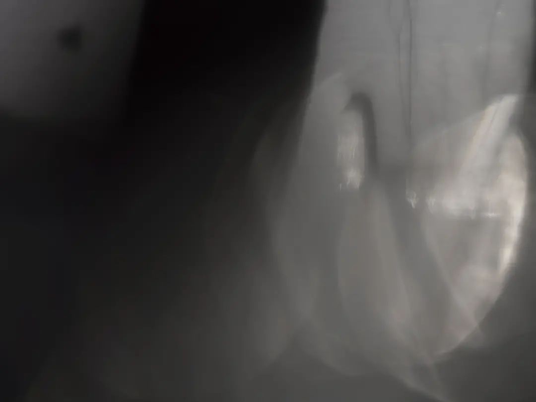 20230829_190544_007