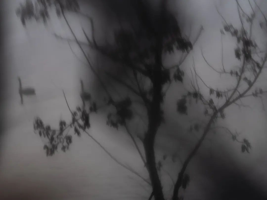20230829_190544_008
