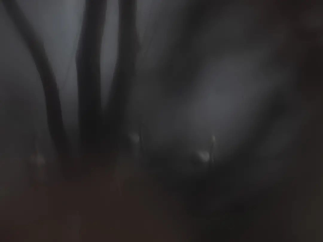 20230829_190544_011