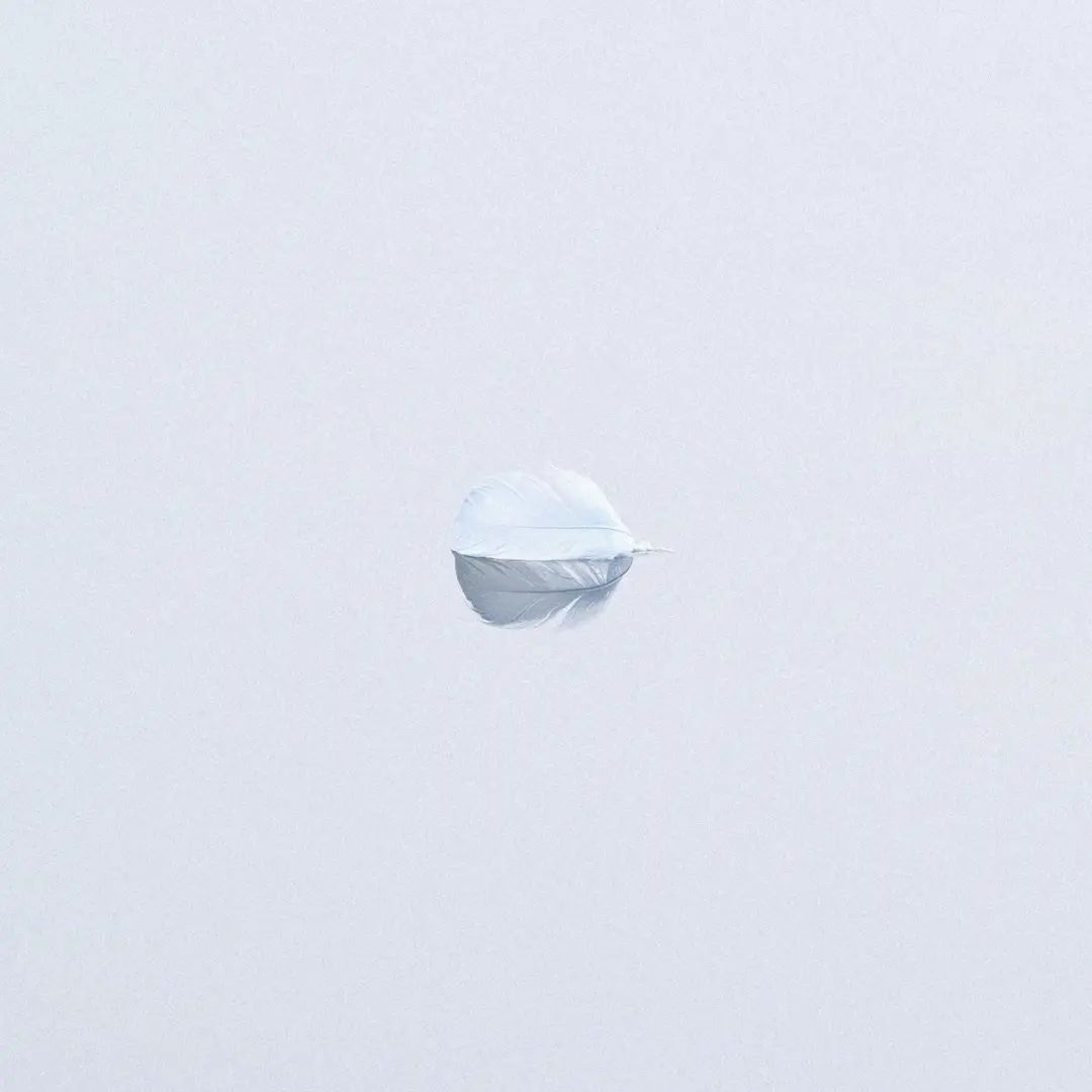 20230829_190544_012